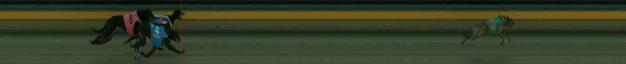 Photo finish for Sale Race 3