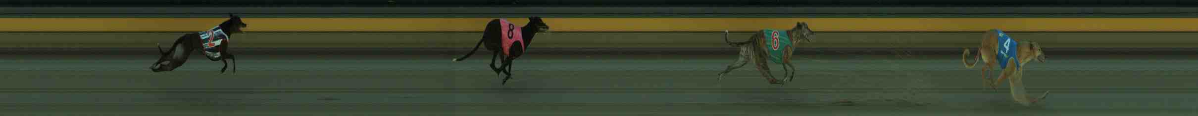 Photo finish for Sale Race 4