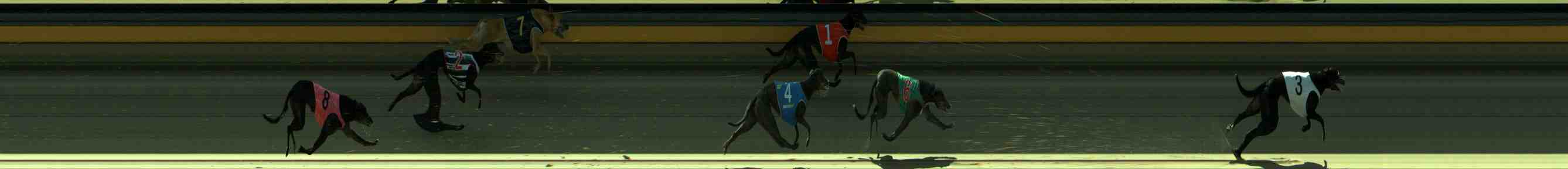Photo finish for Sale Race 5