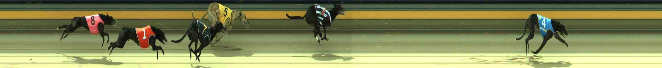 Photo finish for Sale Race 6