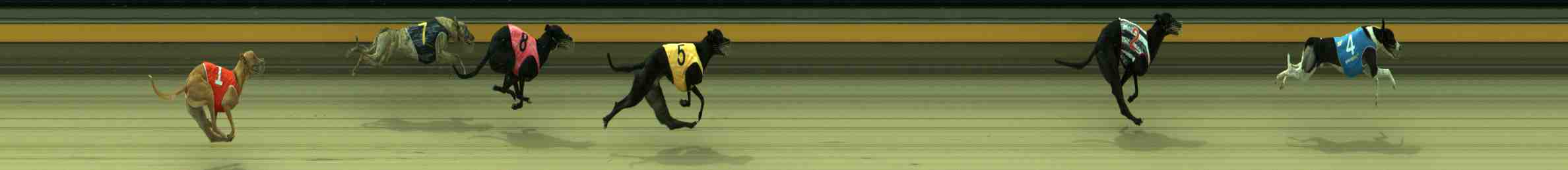 Photo finish for Sale Race 7