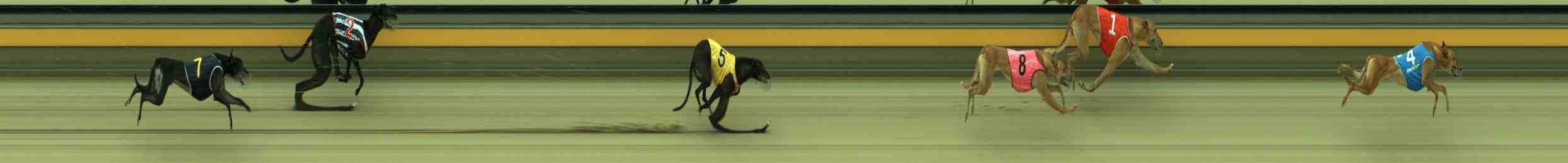 Photo finish for Sale Race 8