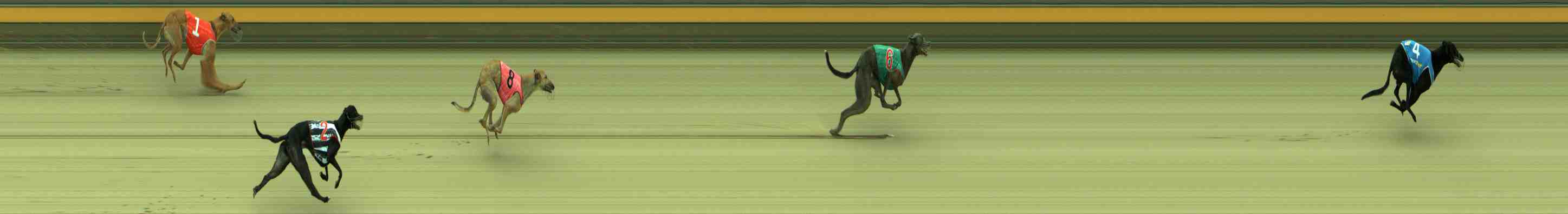 Photo finish for Sale Race 9