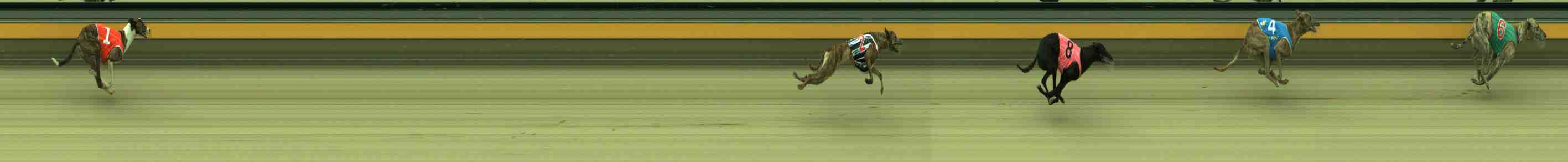 Photo finish for Sale Race 10