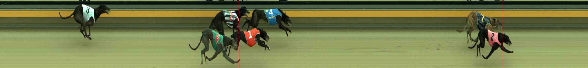 Photo finish for Sale Race 12