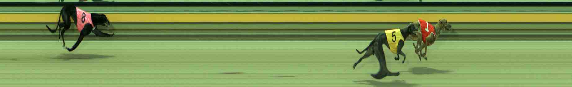 Photo finish for Sale Race 1