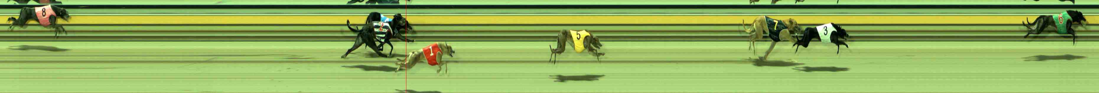 Photo finish for Sale Race 2