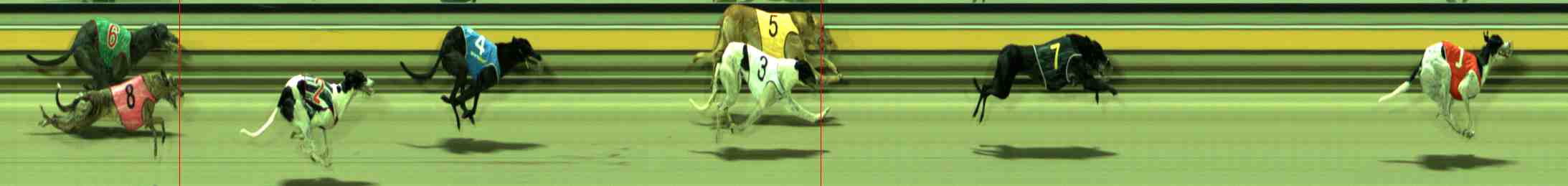 Photo finish for Sale Race 4