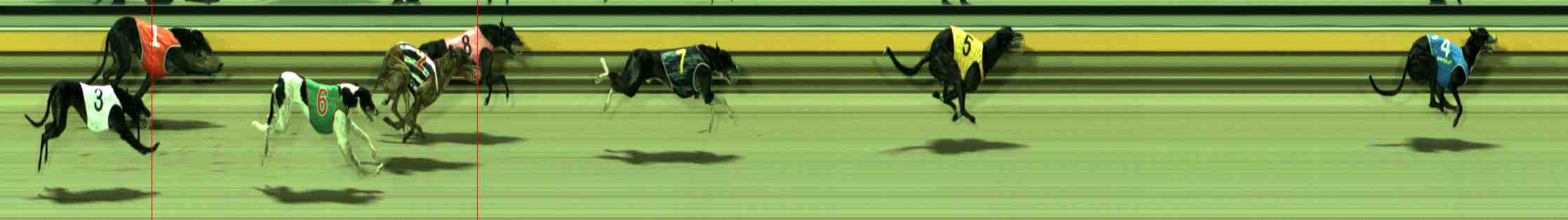 Photo finish for Sale Race 5