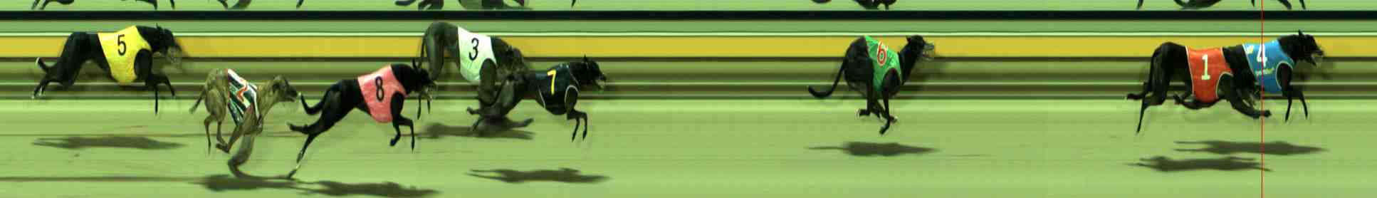 Photo finish for Sale Race 6