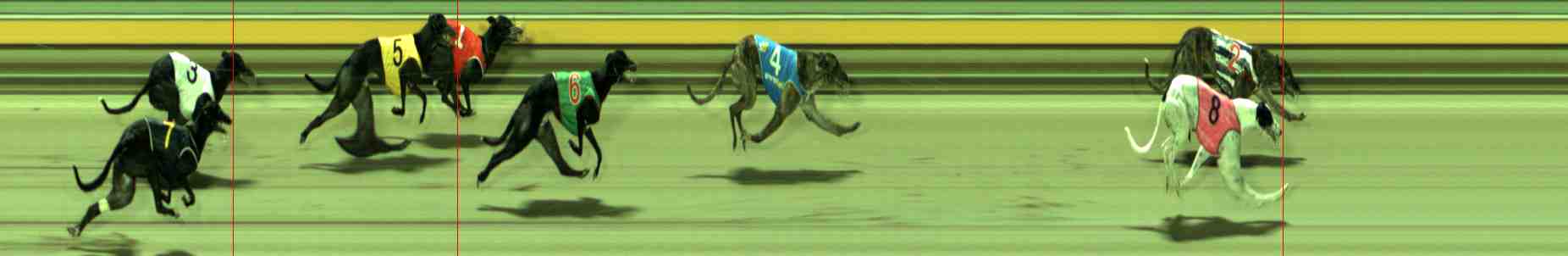 Photo finish for Sale Race 7