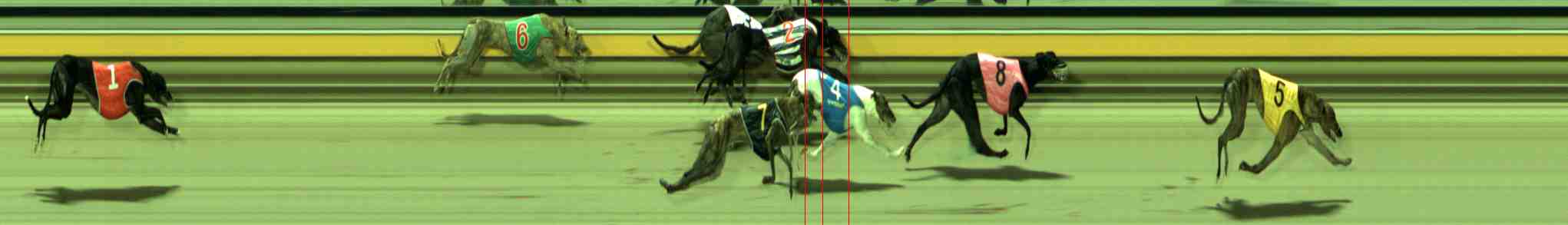 Photo finish for Sale Race 8
