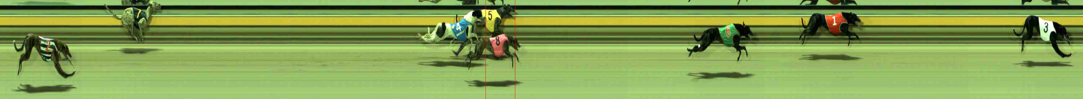 Photo finish for Sale Race 9