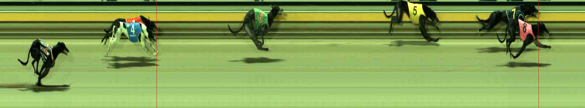 Photo finish for Sale Race 10