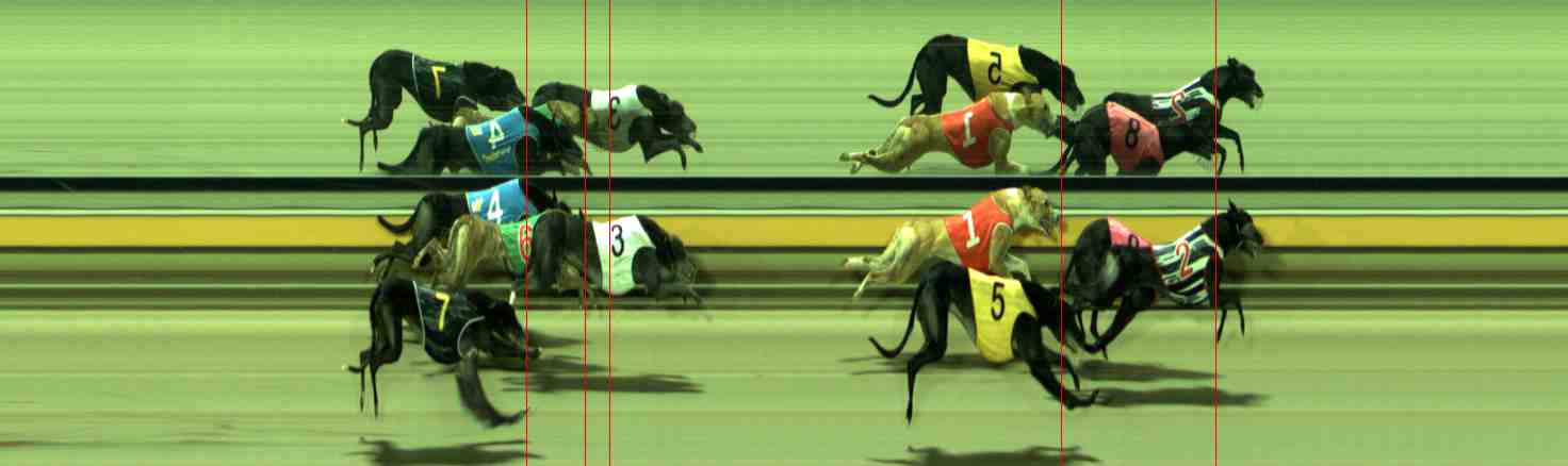 Photo finish for Sale Race 11