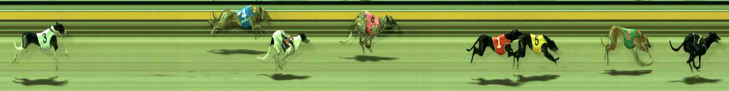 Photo finish for Sale Race 12