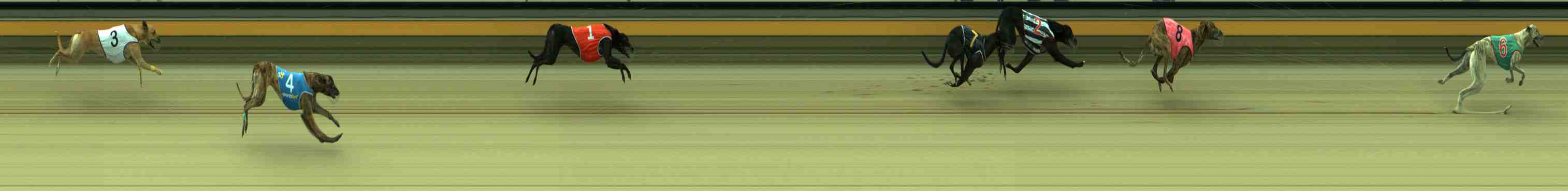 Photo finish for Sale Race 1