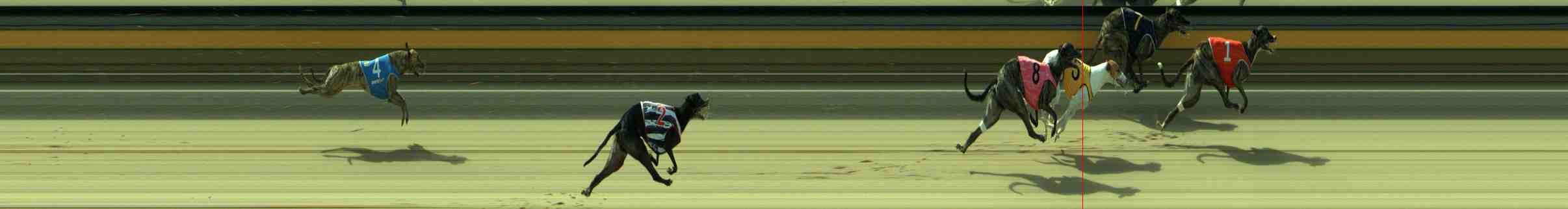 Photo finish for Sale Race 2