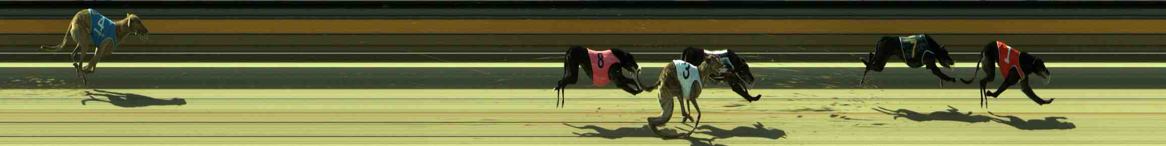 Photo finish for Sale Race 3
