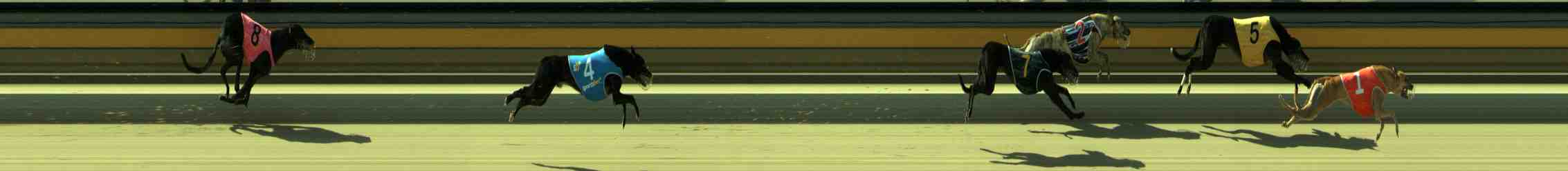 Photo finish for Sale Race 4