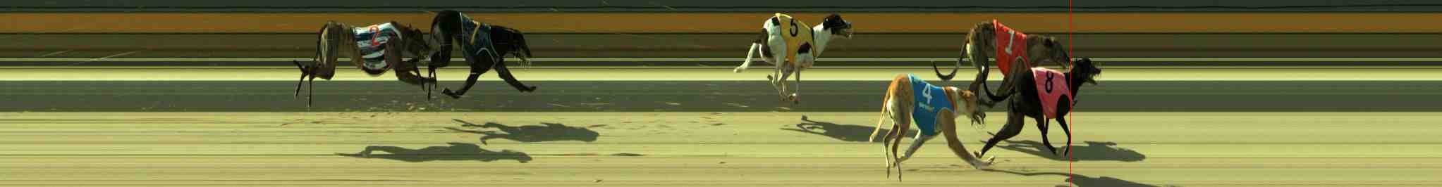 Photo finish for Sale Race 5