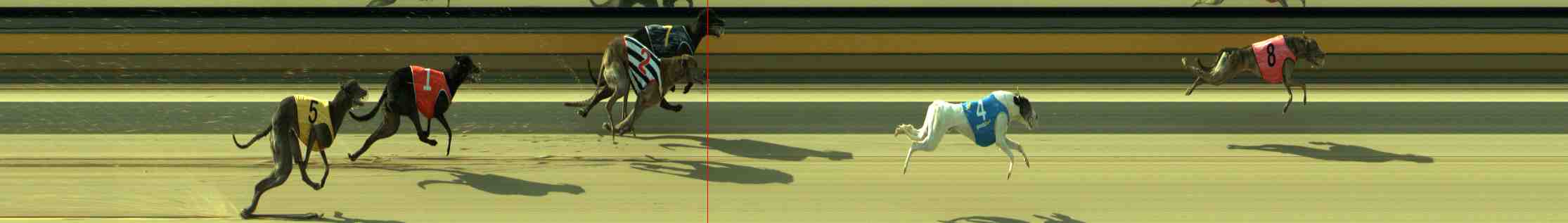 Photo finish for Sale Race 6