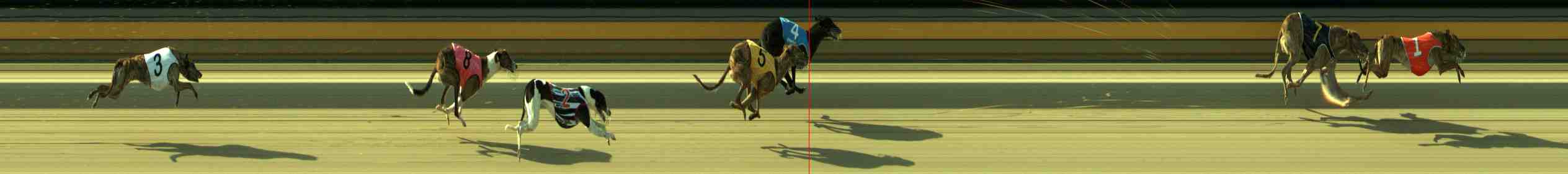 Photo finish for Sale Race 7