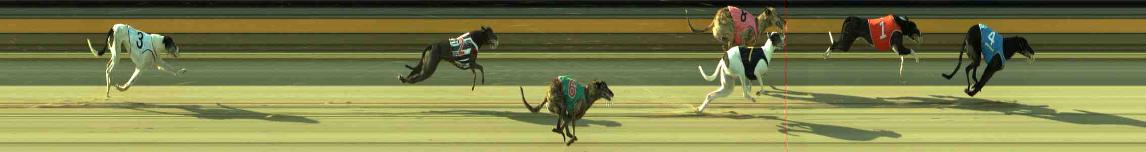 Photo finish for Sale Race 8