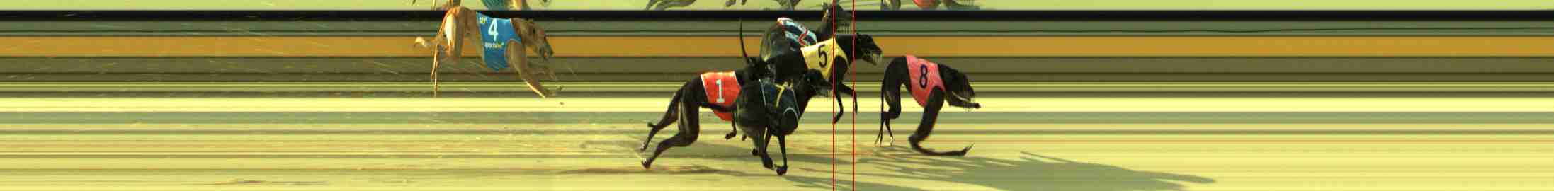 Photo finish for Sale Race 9