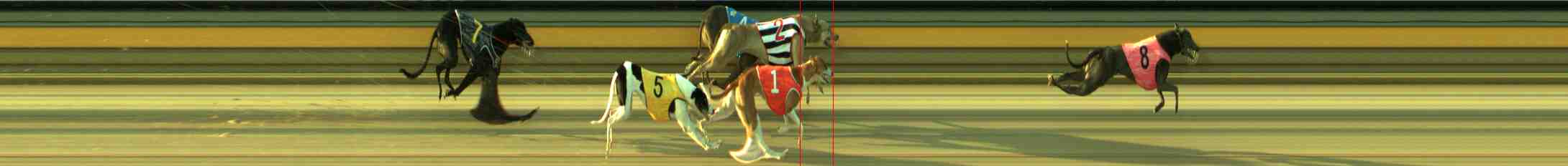 Photo finish for Sale Race 10