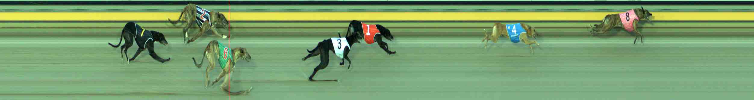 Photo finish for Sale Race 11