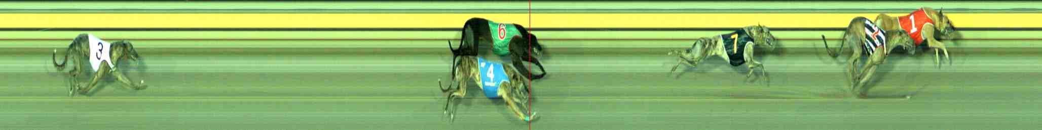 Photo finish for Sale Race 12