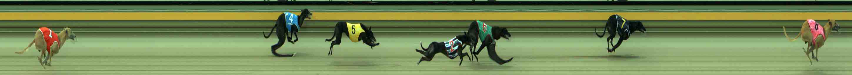 Photo finish for Sale Race 1