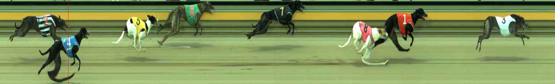 Photo finish for Sale Race 2