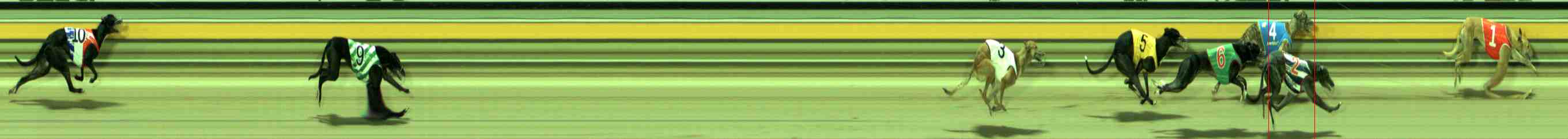 Photo finish for Sale Race 4
