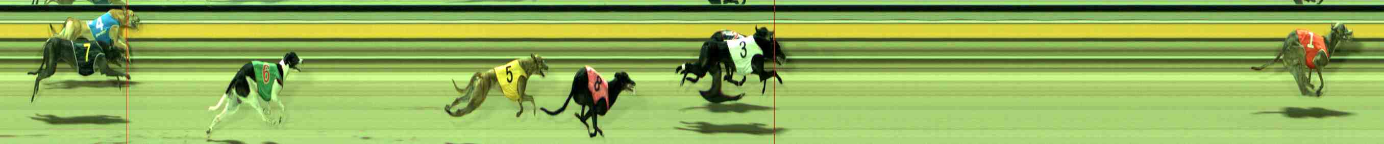 Photo finish for Sale Race 5