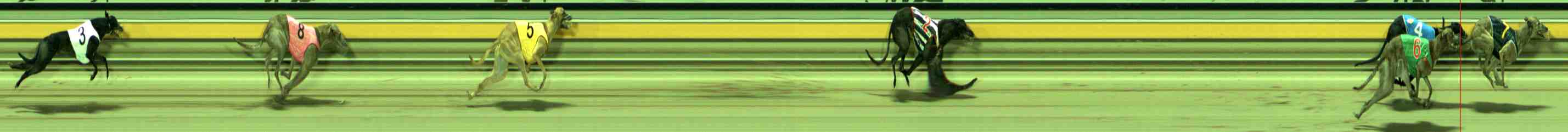 Photo finish for Sale Race 6
