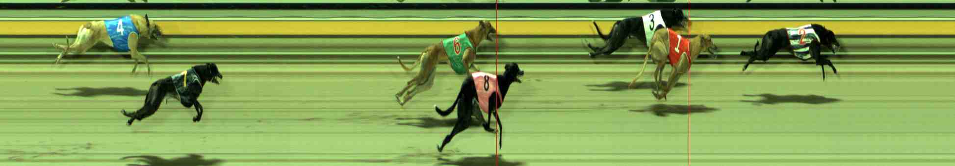 Photo finish for Sale Race 7