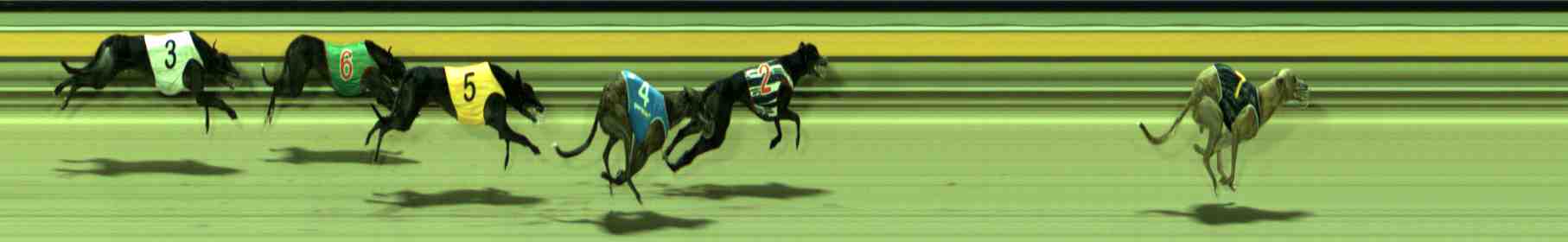 Photo finish for Sale Race 8