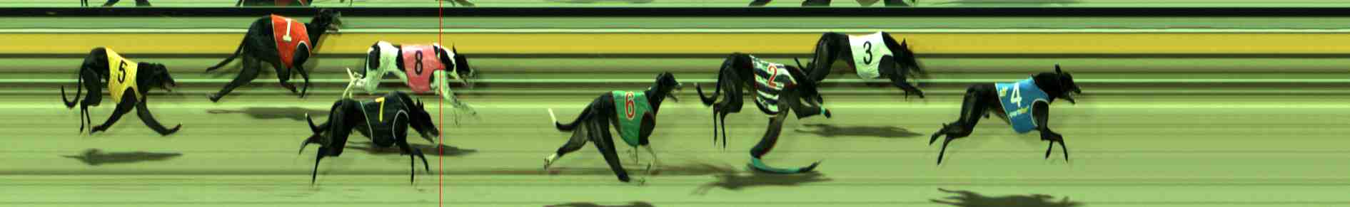 Photo finish for Sale Race 9