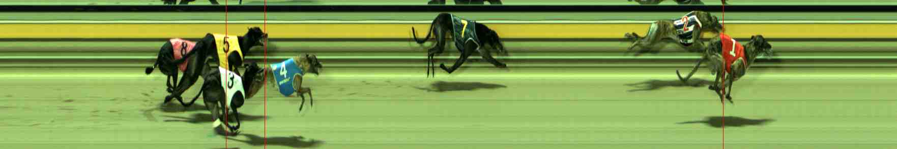 Photo finish for Sale Race 10