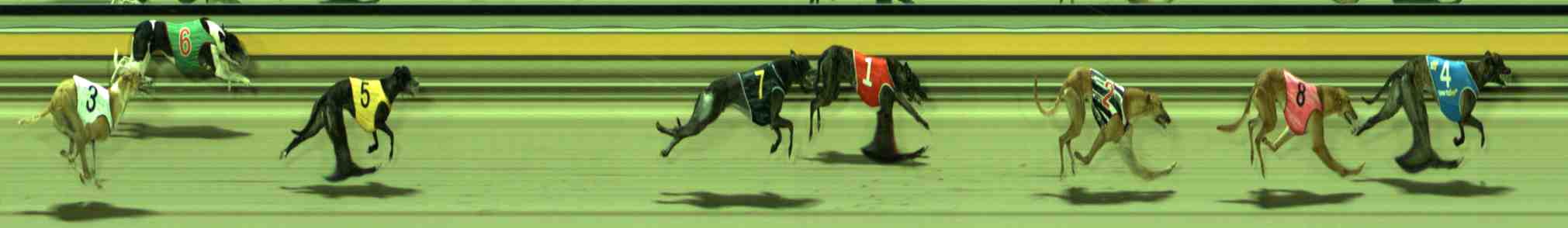 Photo finish for Sale Race 11