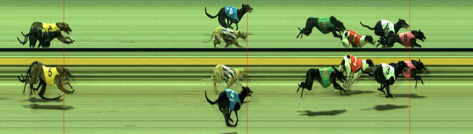 Photo finish for Sale Race 12