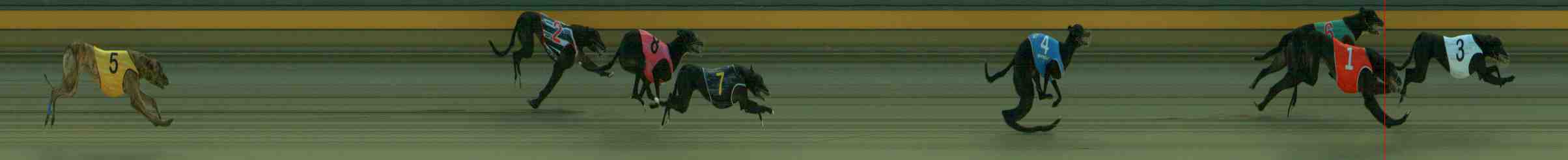 Photo finish for Sale Race 2