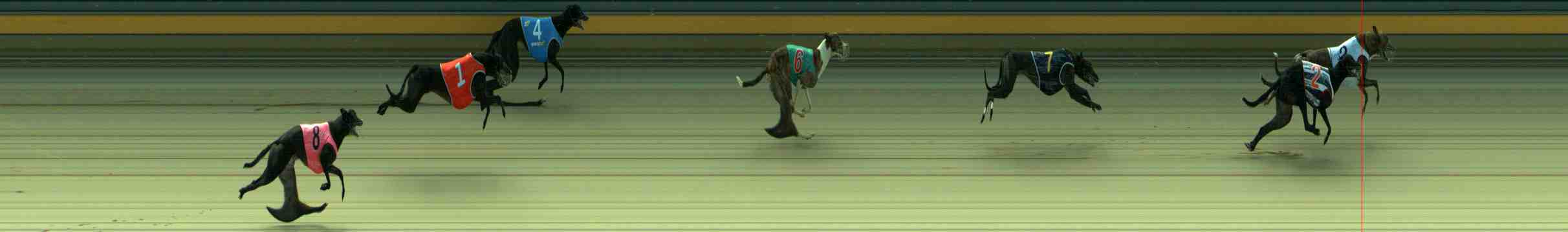 Photo finish for Sale Race 3