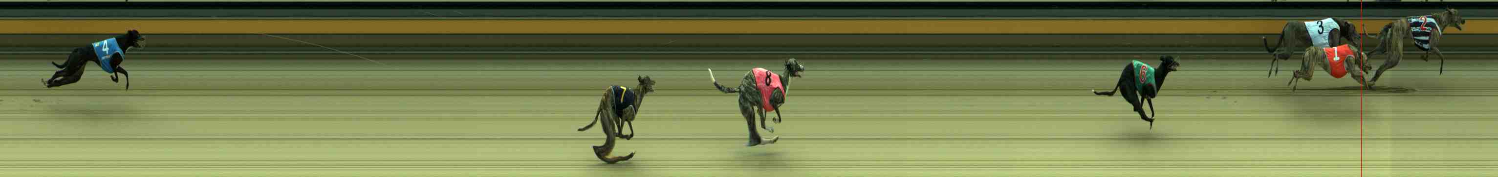 Photo finish for Sale Race 4