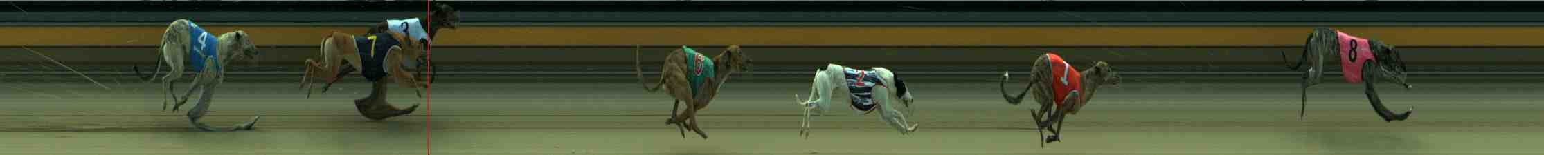 Photo finish for Sale Race 5