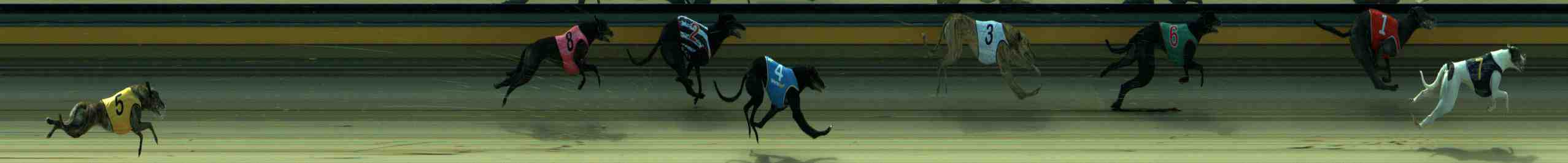 Photo finish for Sale Race 6