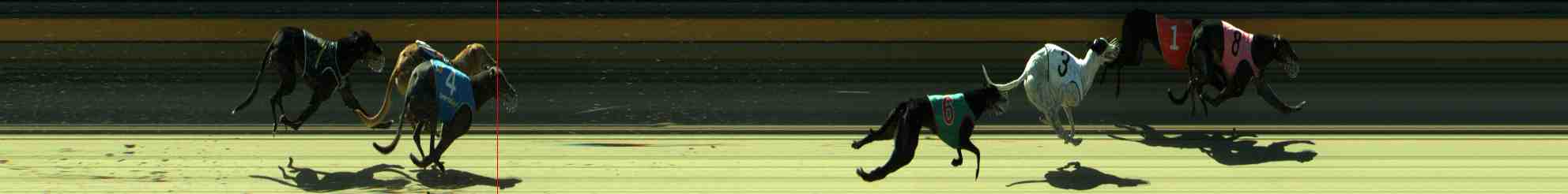 Photo finish for Sale Race 7