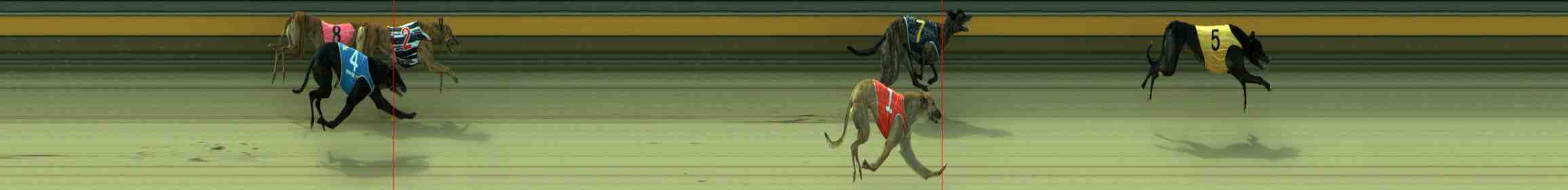 Photo finish for Sale Race 9